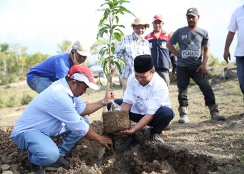 Trans Continent Bangun Pusat Logistik Berikat Di Aceh Besar