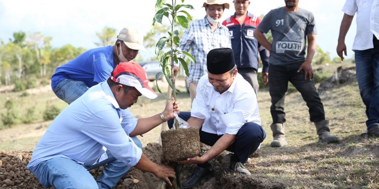 Trans Continent Bangun Pusat Logistik Berikat Di Aceh Besar