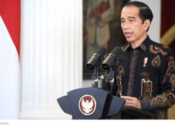 Presiden Jokowi Ajak Semua Pihak Perkuat Komitmen Pemenuhan Hak Asasi