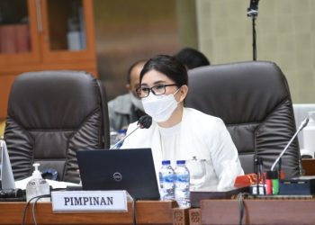 DPR Minta Pemerintah Pastikan Keamanan dan Mutu Vaksin Covid-19