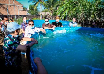 Aminullah Launching Inovasi Budidaya Udang Vaname