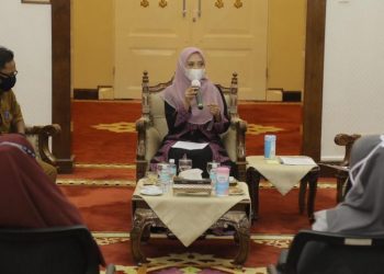 Dekranasda Komit Support Pertumbuhan UMKM di Aceh