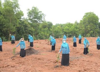 Dyah Erti Hijaukan Lingkungan Kantor UPTD BPSR di Blang Bintang