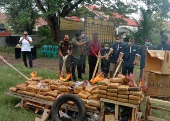 Polda Aceh Musnahkan Ratusan Kilogram Narkotika Jenis Ganja
