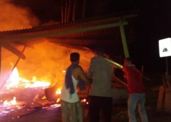 Dua unit Kedai Kontruksi Kayu Ludes Terbakar di Gampong Blang Cut
