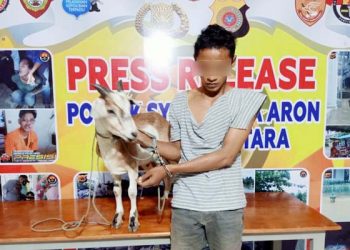 Seorang Pemuda Pencuri Kambing di Jalan Line Pipa diboyong ke Polsek oleh Warga