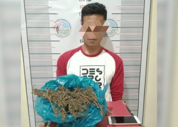 Personel Satuan Narkoba Polres Nagan Raya Mengamankan Pelaku Penyalahgunaan Narkotika Jenis Ganja