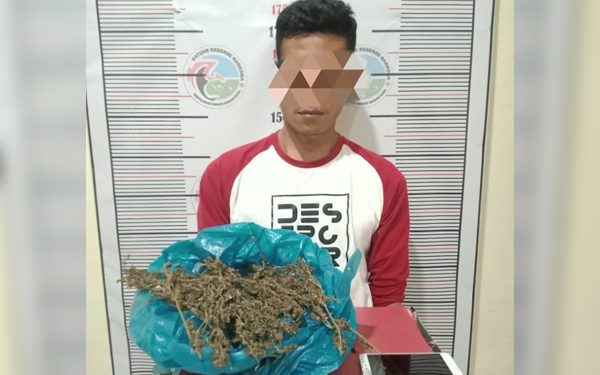 Personel Satuan Narkoba Polres Nagan Raya Mengamankan Pelaku Penyalahgunaan Narkotika Jenis Ganja