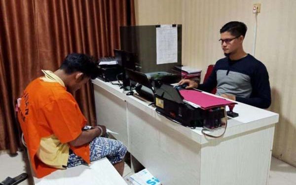 Polres Pidie Bekuk Komplotan Pencuri Lembu dengan Mobil Rental
