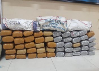 Tiga Karung Ganja Kering Diamankan Sat Narkoba Polres Aceh Tenggara, Pelaku Berhasil Kabur.