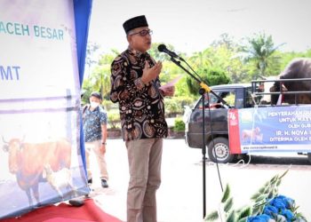 Terima Sapi Presiden, Masyarakat Aceh Besar Berterima Kasih Kepada Gubernur