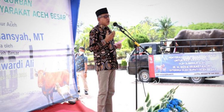 Terima Sapi Presiden, Masyarakat Aceh Besar Berterima Kasih Kepada Gubernur