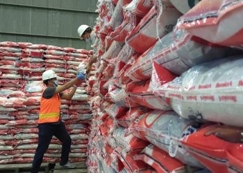 Masyarakat yang Kena Dampak PPKM Akan Medapatkan Beras Bantuan Dari Pemerintah