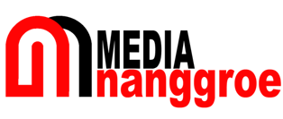 Media Nanggroe