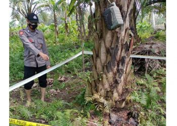 Hendak antarkan nasi, Seorang istri temukan Jasad suami dengan kondisi hangus terbakar
