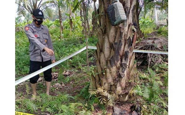 Hendak antarkan nasi, Seorang istri temukan Jasad suami dengan kondisi hangus terbakar