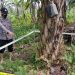 Hendak antarkan nasi, Seorang istri temukan Jasad suami dengan kondisi hangus terbakar