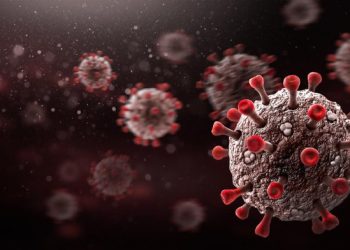 Kota Banda Aceh Satu-satunya Daerah Zona Merah COVID-19 di Indonesia