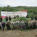 Polisi Musnahkan 40.3 Ton Ganja Siap Panen di Aceh Utara