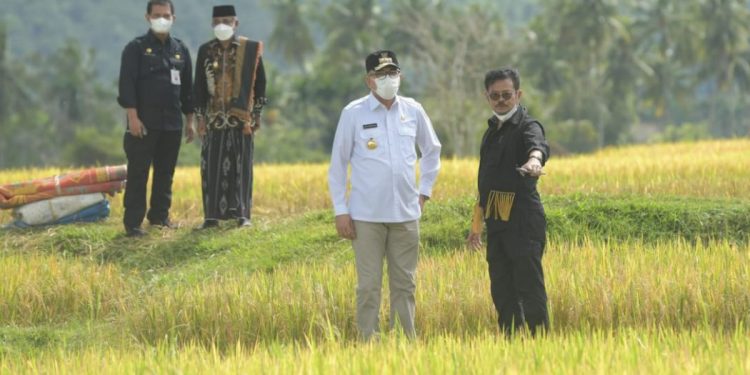 Mentan RI: Aceh Miliki Syarat Komplit Wujudkan Swasembada Pangan Daerah