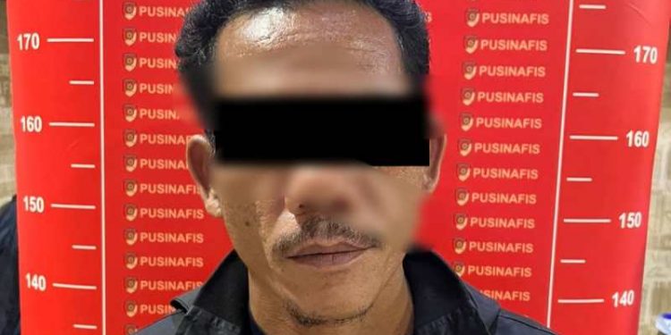 Dua Tersangka Pembunuhan Harimau Sumatera Ditangkap