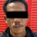 Dua Tersangka Pembunuhan Harimau Sumatera Ditangkap