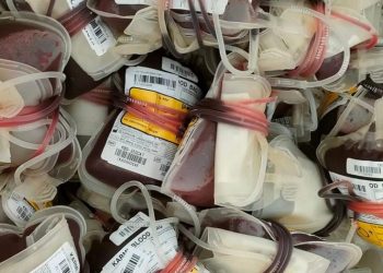 Donor Darah Rutin Pemerintah Aceh, ASN Kominsa Sumbang 36 Kantong