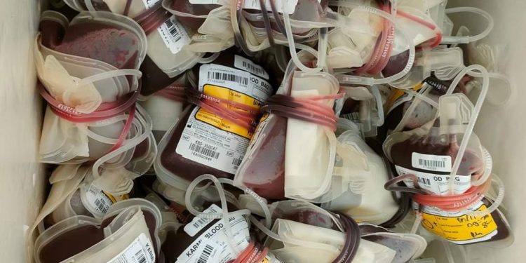 Donor Darah Rutin Pemerintah Aceh, ASN Kominsa Sumbang 36 Kantong