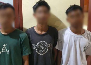 Nyamar Jadi Pembeli, Sat Reskrim Polres Langsa Ringkus Pencuri Sepeda Motor