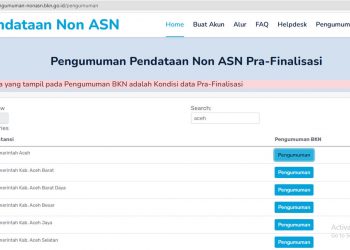 BKN Keluarkan Pengumuman Hasil Pendataan Non ASN Pra-Finalisasi