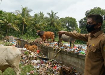 Sampah Berserakan, Kadis DLH Kunjungi TPS Kemukiman Lamlhom