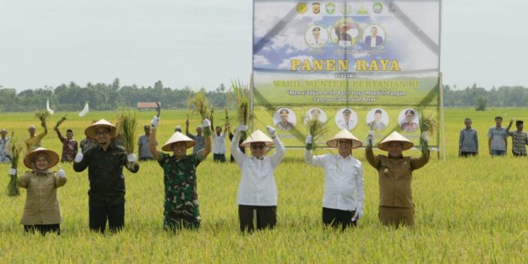 Pj Gubernur Bersama Wakil Menteri Pertanian Kunjungan Kerja ke Abdya