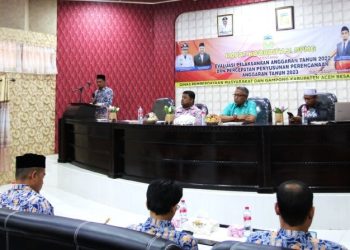 Total Kucuran Dana Desa di Aceh Besar Capai Rp3 Triliun