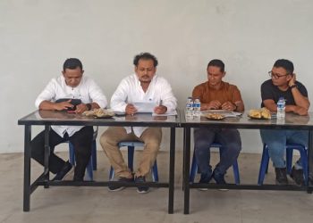 Dek Gam Somasi Zulfikar SBY, Terkait Pembelian Saham Persiraja