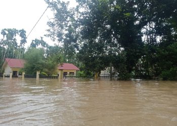 Sungai Simpang Jernih Meluap, Enam Desa di Aceh Timur Diterjang Banjir