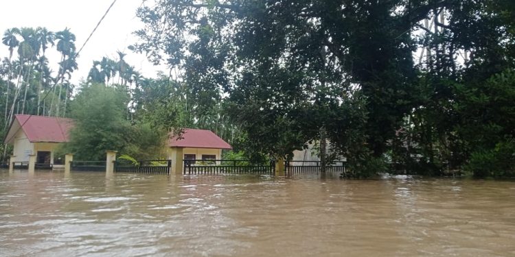 Sungai Simpang Jernih Meluap, Enam Desa di Aceh Timur Diterjang Banjir