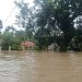 Sungai Simpang Jernih Meluap, Enam Desa di Aceh Timur Diterjang Banjir