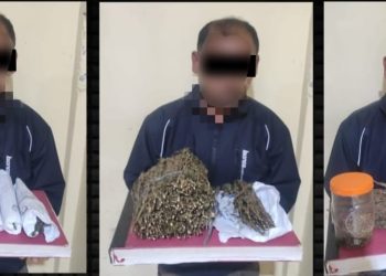 Bandar Ganja di Bener Meriah Diringkus Polisi