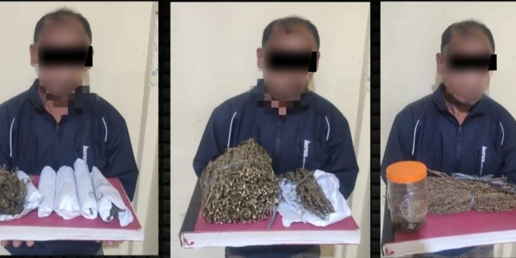 Bandar Ganja di Bener Meriah Diringkus Polisi