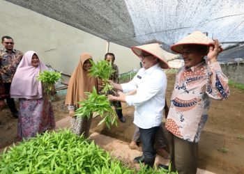 Atasi Inflasi, Pj Wali Kota Banda Aceh Imbau Warga Tanam Cabai Sendiri