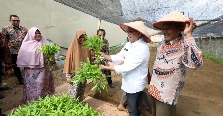 Atasi Inflasi, Pj Wali Kota Banda Aceh Imbau Warga Tanam Cabai Sendiri