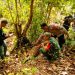 Polres Aceh Timur Selidiki Kematian Anak Harimau di Peunaron