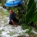 Fenomena Hujan Es Kembali Melanda sejumlah Wilayah di Aceh Tengah