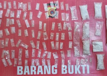 Januari-Maret 2023, Satresnarkoba Polres Bireuen Ungkap 37 Kasus Narkotika