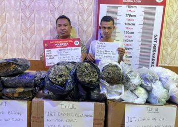 Polisi Tangkap 2 Pria Pengirim Ganja Melalui Ekspedisi Jaringan Aceh – Banten & Jakarta
