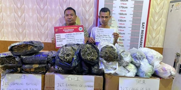 Polisi Tangkap 2 Pria Pengirim Ganja Melalui Ekspedisi Jaringan Aceh – Banten & Jakarta