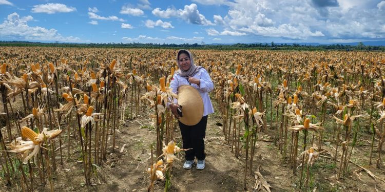 Penguatan Ketahanan Pangan dengan Smart Farming dan Agritech