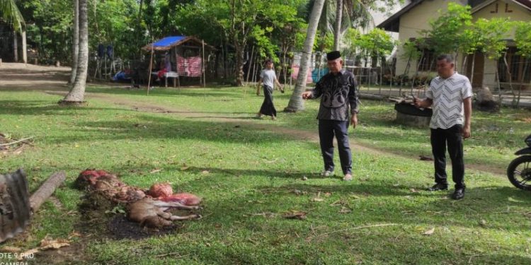 Sindikat Pencurian Ternak Beraksi di Darul Kamal, Tiga Ekor Lembu Diracun