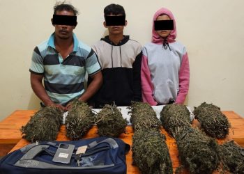 Polisi Tangkap Tiga Pengedar Ganja, Dua di Antaranya Pasutri