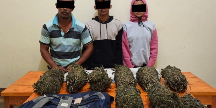 Polisi Tangkap Tiga Pengedar Ganja, Dua di Antaranya Pasutri